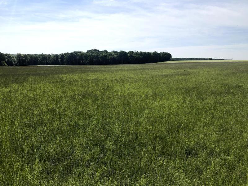 Maison - 67 m² - 4 pièces