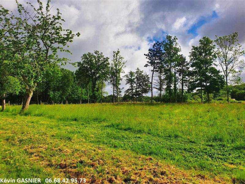 Terrain - 19 380 m²