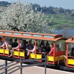 Train Touristique des Belvédères