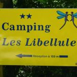Les Libellules