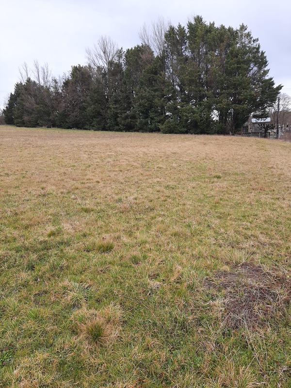 Terrain constructible - 1 267 m²