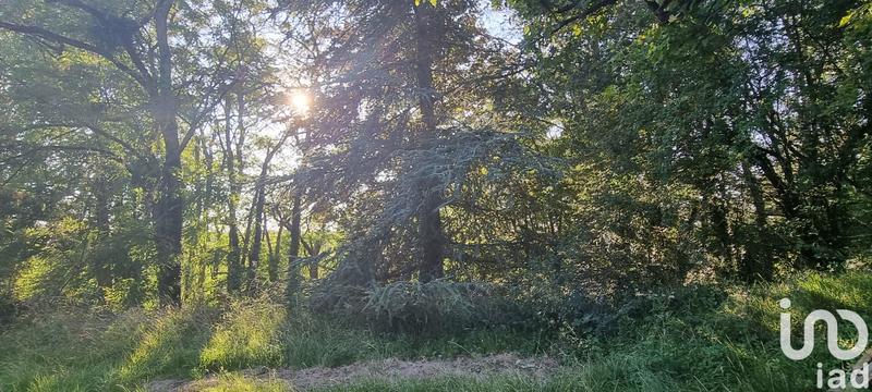 Maison - 200 m² - 8 pièces