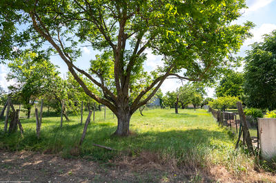Terrain constructible - 1 000 m²