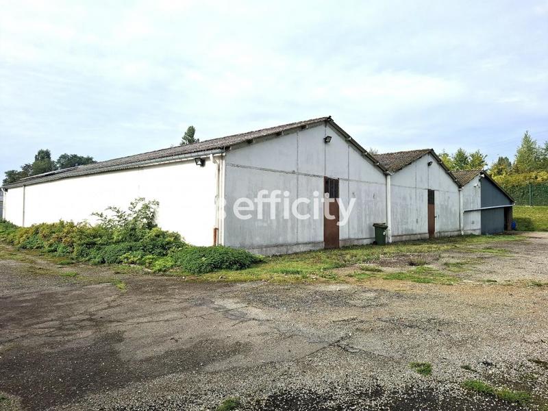 Entrepôt - 817 m²