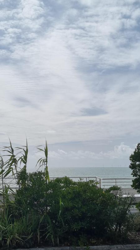 Appartement - 13 m² - 1 pièce