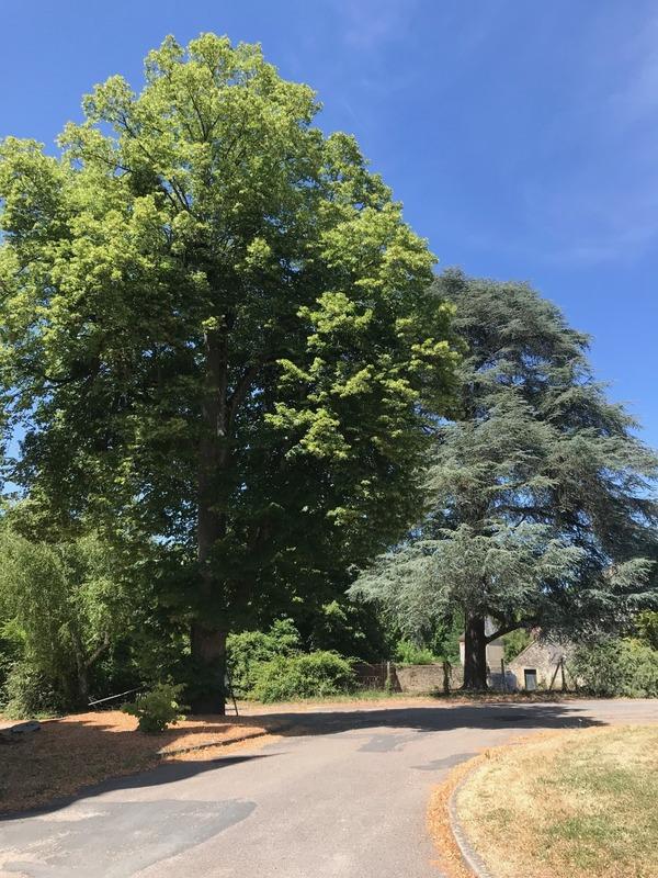 Château - 450 m² - 18 pièces