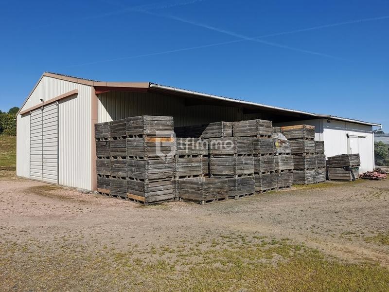 Maison - 225 m² - 11 pièces