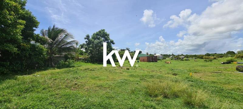 Terrain constructible - 781 m²