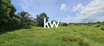 Terrain constructible - 781 m²