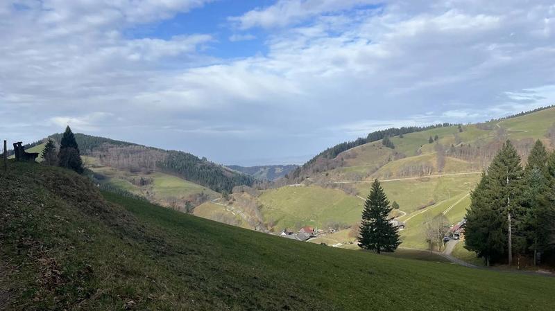 Club Vosgien : Schönau - Belchen (Forêt Noire)