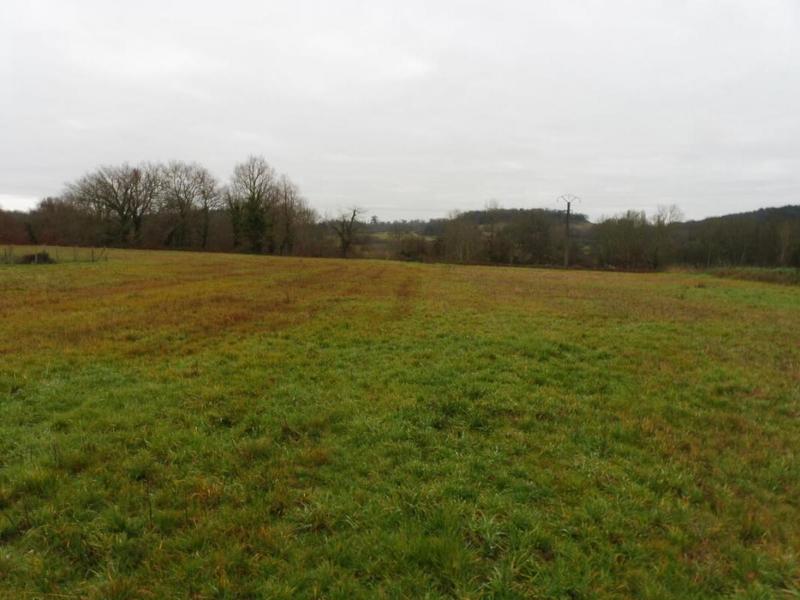 Terrain - 23 422 m²