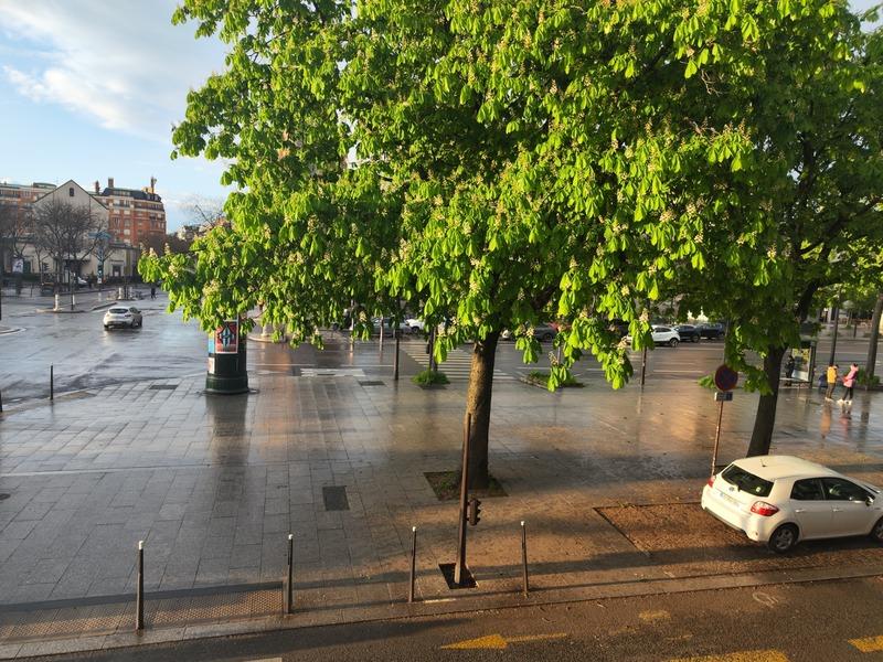 Appartement bourgeois - 48 m² - 3 pièces