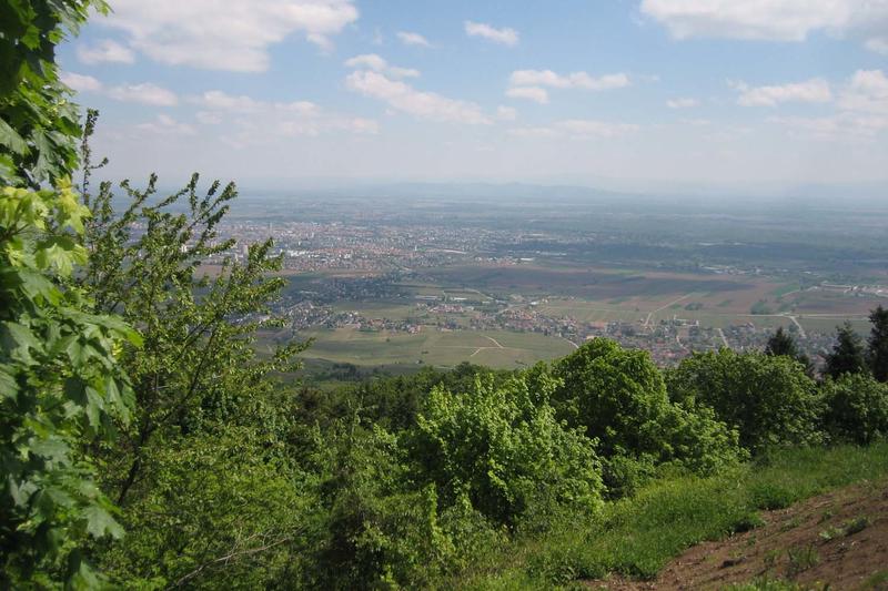 Marche douce au Hohlandsbourg avec le Club Vosgien
