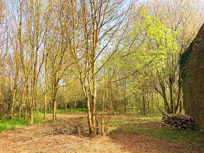 Terrain de loisirs - 2 018 m²