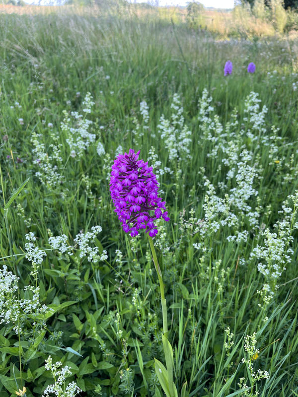 Maison - 130 m² - 4 pièces