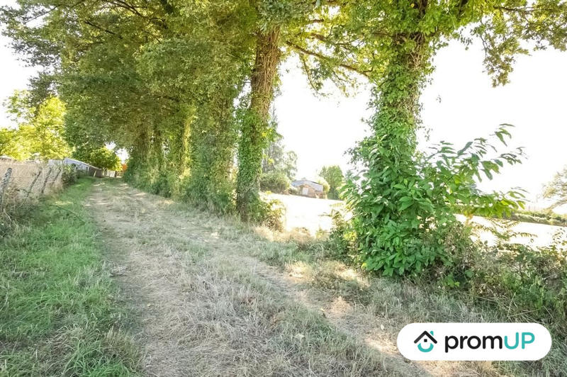 Terrain - 14 623 m²