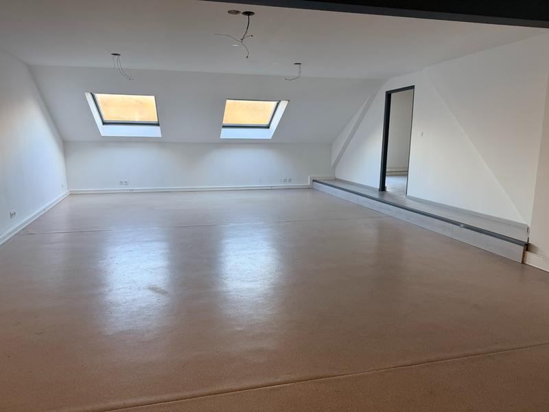 Local d'activités - 560 m²