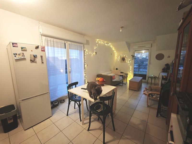 Appartement - 44 m² - 2 pièces