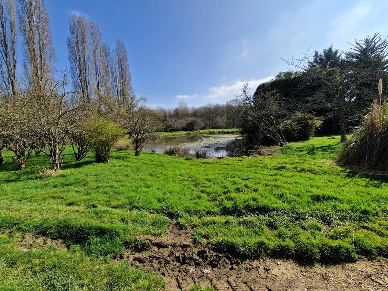 Ferme - 181 m² - 7 pièces