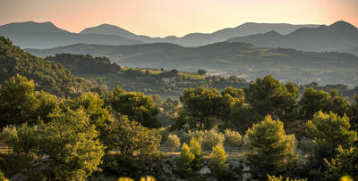 Domaine de Mourchon - Visite et Dégustation