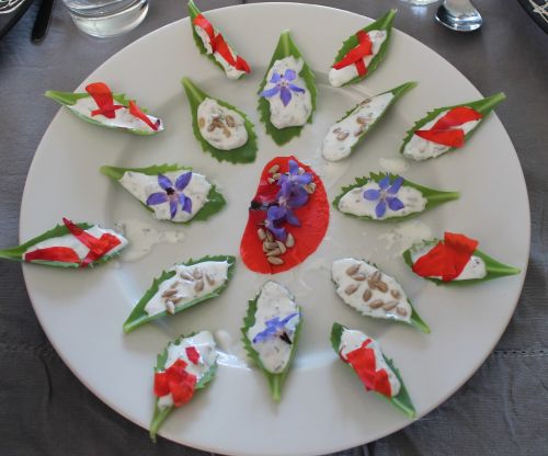 Bourrache et Coquelicot