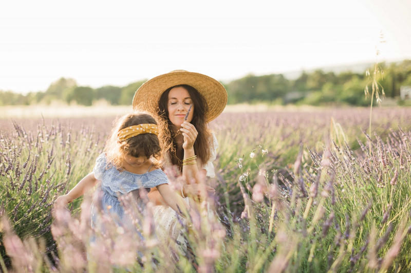 Visite des champs de lavande à Terre Ugo