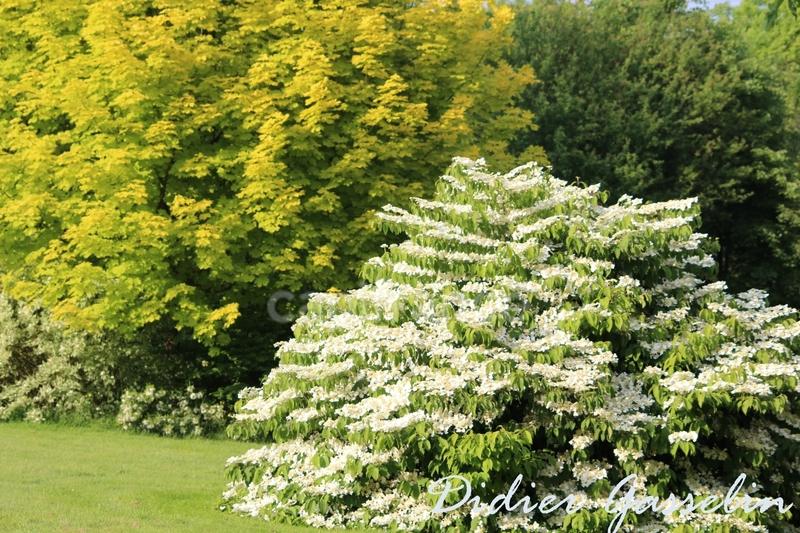 Maison - 351 m² - 10 pièces