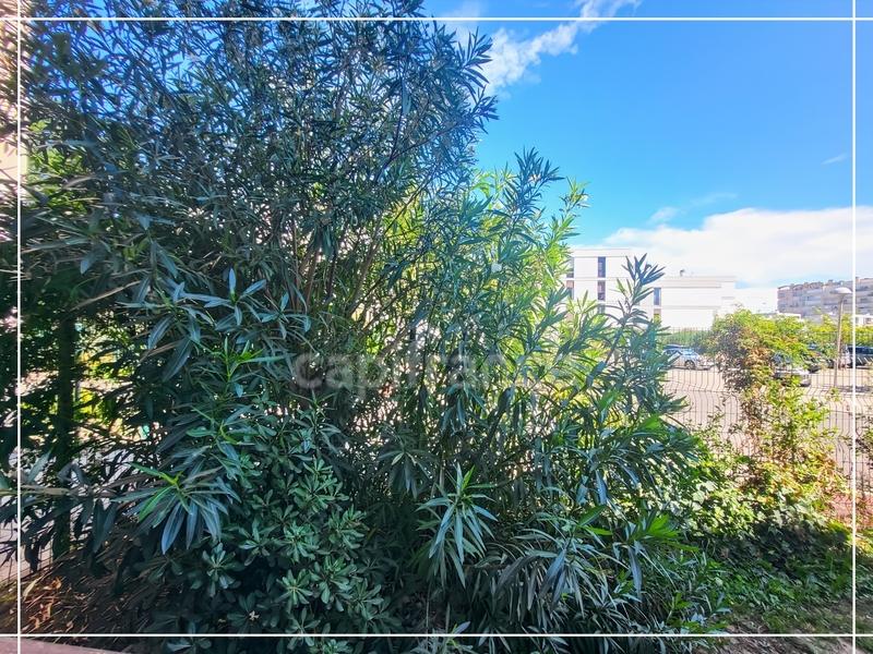 Appartement - 30 m² - 1 pièce