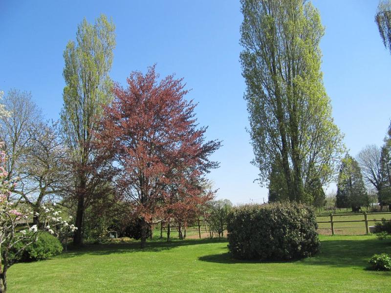 Maison de village - 230 m² - 8 pièces