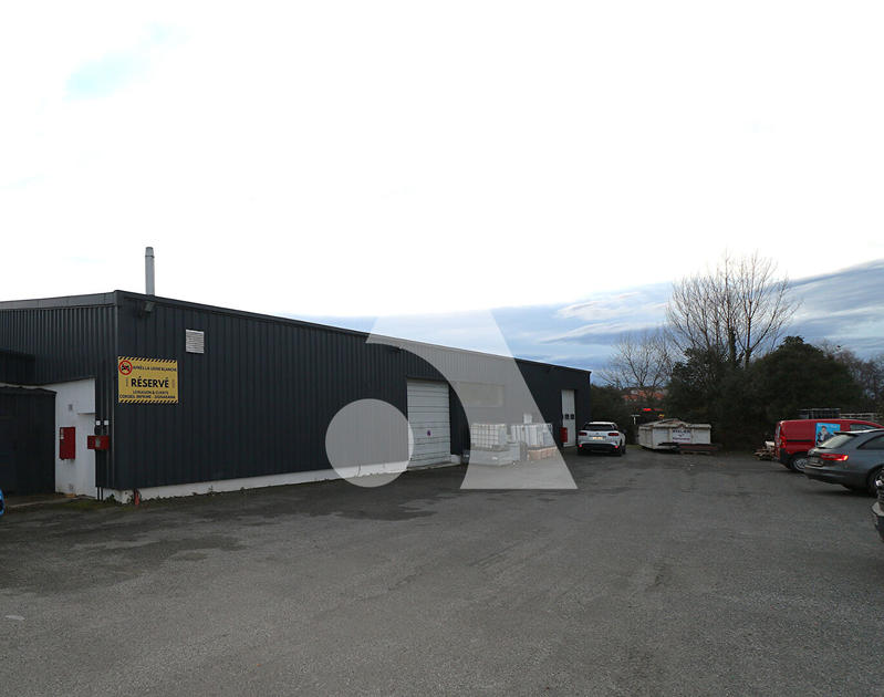Local d'activité / Entrepôt - 571 m²