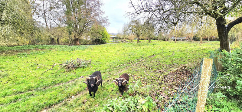 Maison - 64 m² - 3 pièces