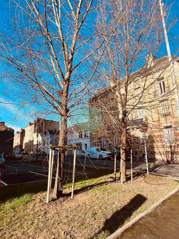 Appartement - 33 m² - 2 pièces