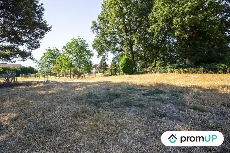 Terrain - 14 623 m²