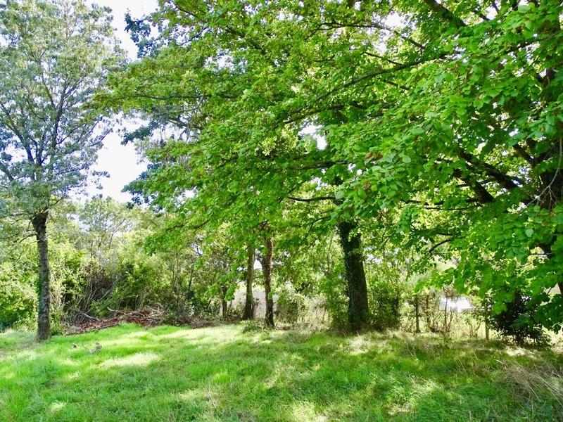 Terrain constructible - 2 370 m²