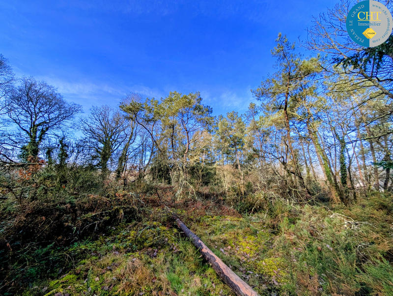 Terrain - 20 680 m²