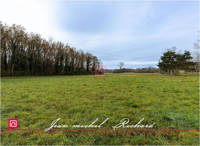 Terrain constructible - 24 590 m²