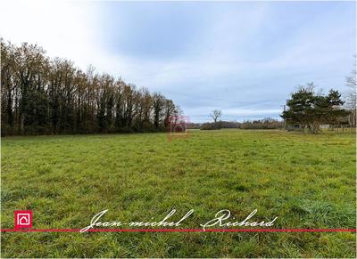 Terrain constructible - 24 590 m²