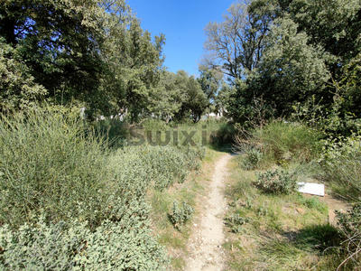Terrain - 494 m²