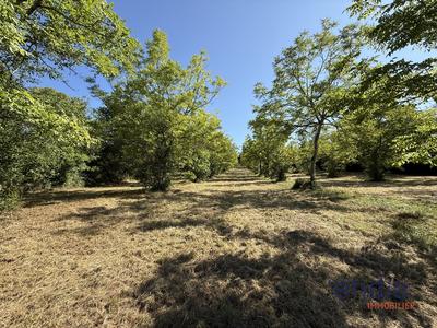 Terrain - 9 731 m²