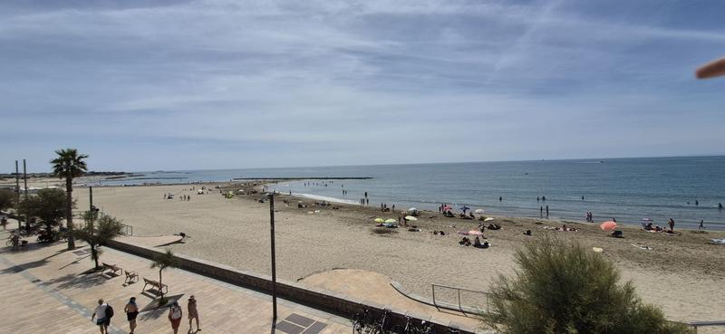 Studio - 22 m² - 1 pièce