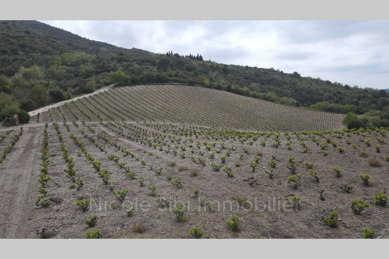 Terrain - 17 200 m²