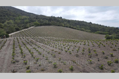 Terrain - 17 200 m²