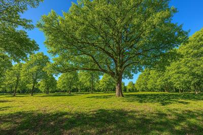 Maison - 207 m² - 9 pièces