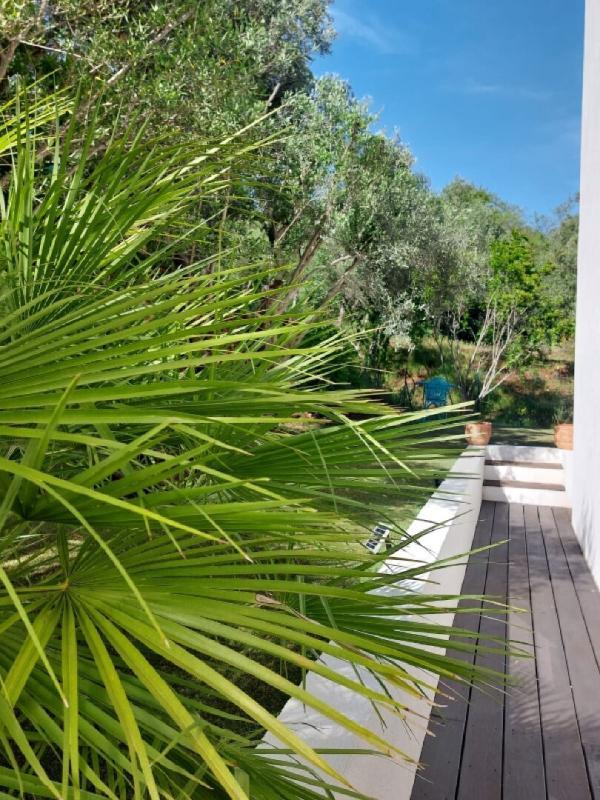 Maison - 218 m² - 7 pièces