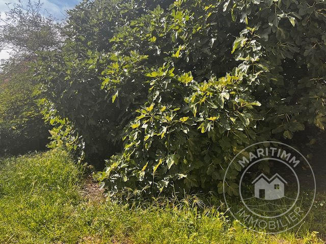 Maison ancienne - 85 m² - 3 pièces