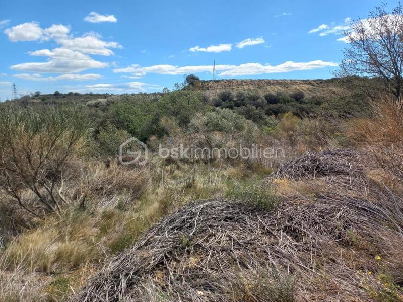 Terrain de loisirs - 4 440 m²