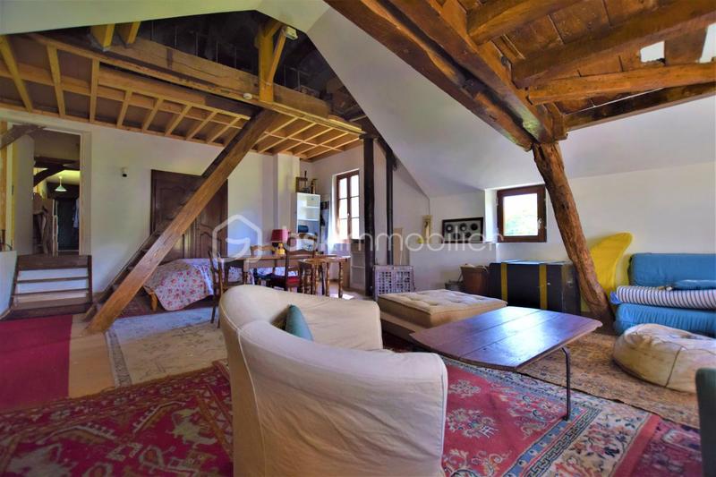 Moulin - 196 m² - 8 pièces