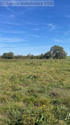 Terrain constructible - 1 919 m²