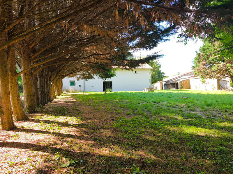 Maison - 153 m² - 5 pièces