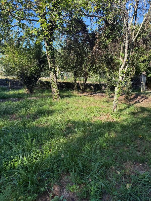 Terrain constructible - 1 756 m²